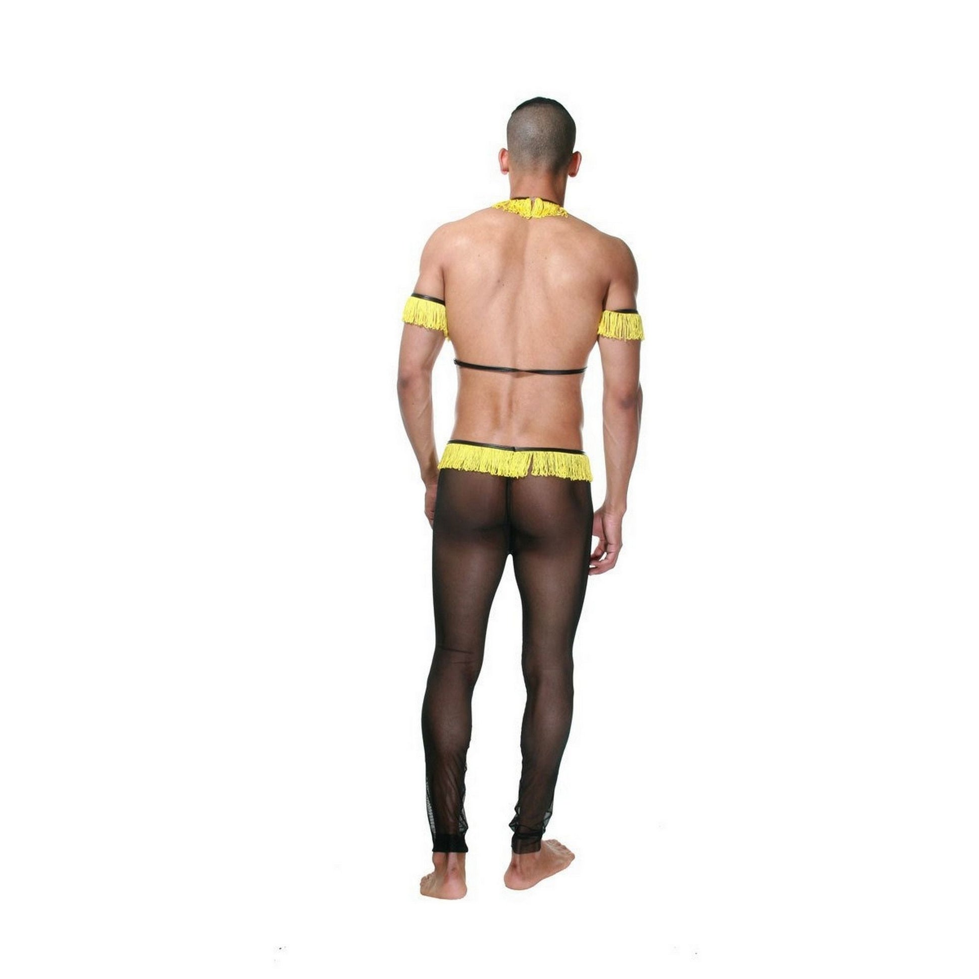 Male Stripper Costume - Sexy Dancer Wear 6 Pieces Set - See Thru Transparent Erotic Tulle Lingerie - Gay Costumes LGBT Pride Stage Nightclubs