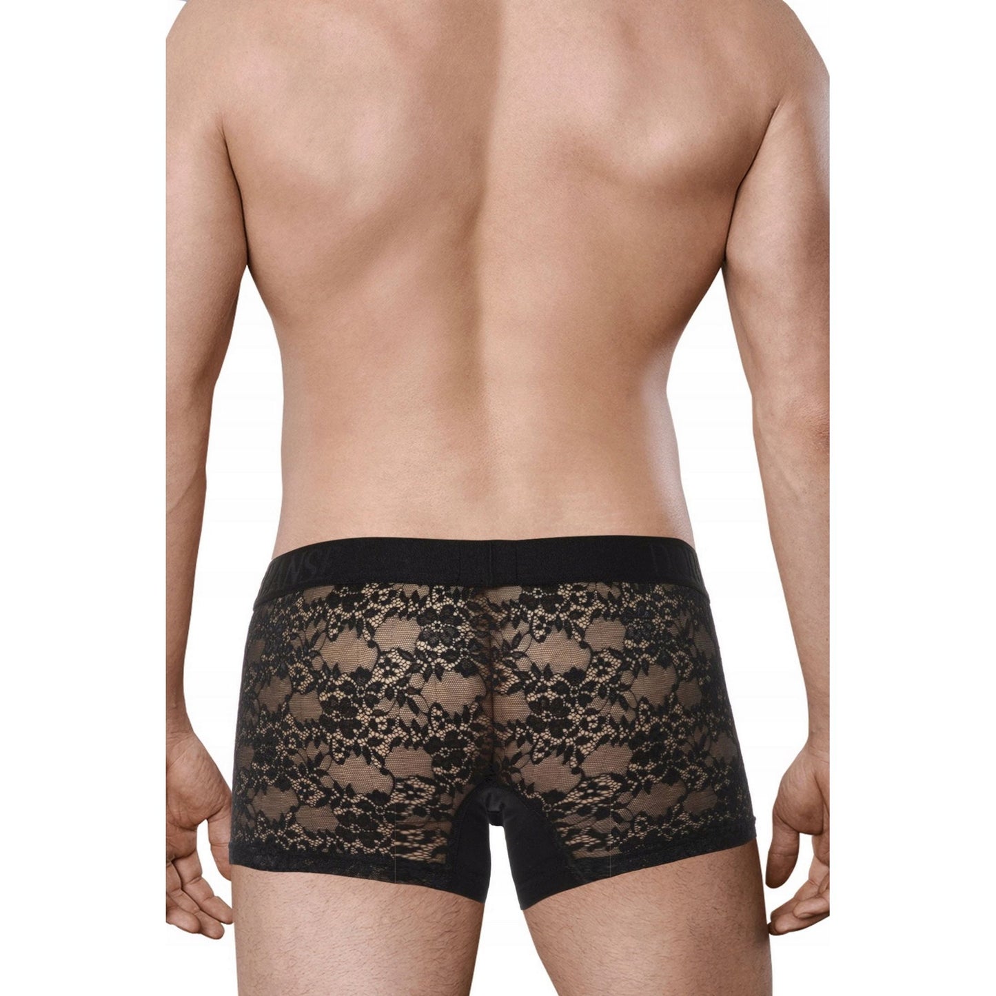 Men's Transparent Lace Boxer Panties - Black Transparent Fantasy Erotic Male See Thru Lingerie, Gay Sheer Underwear - Gift for Him