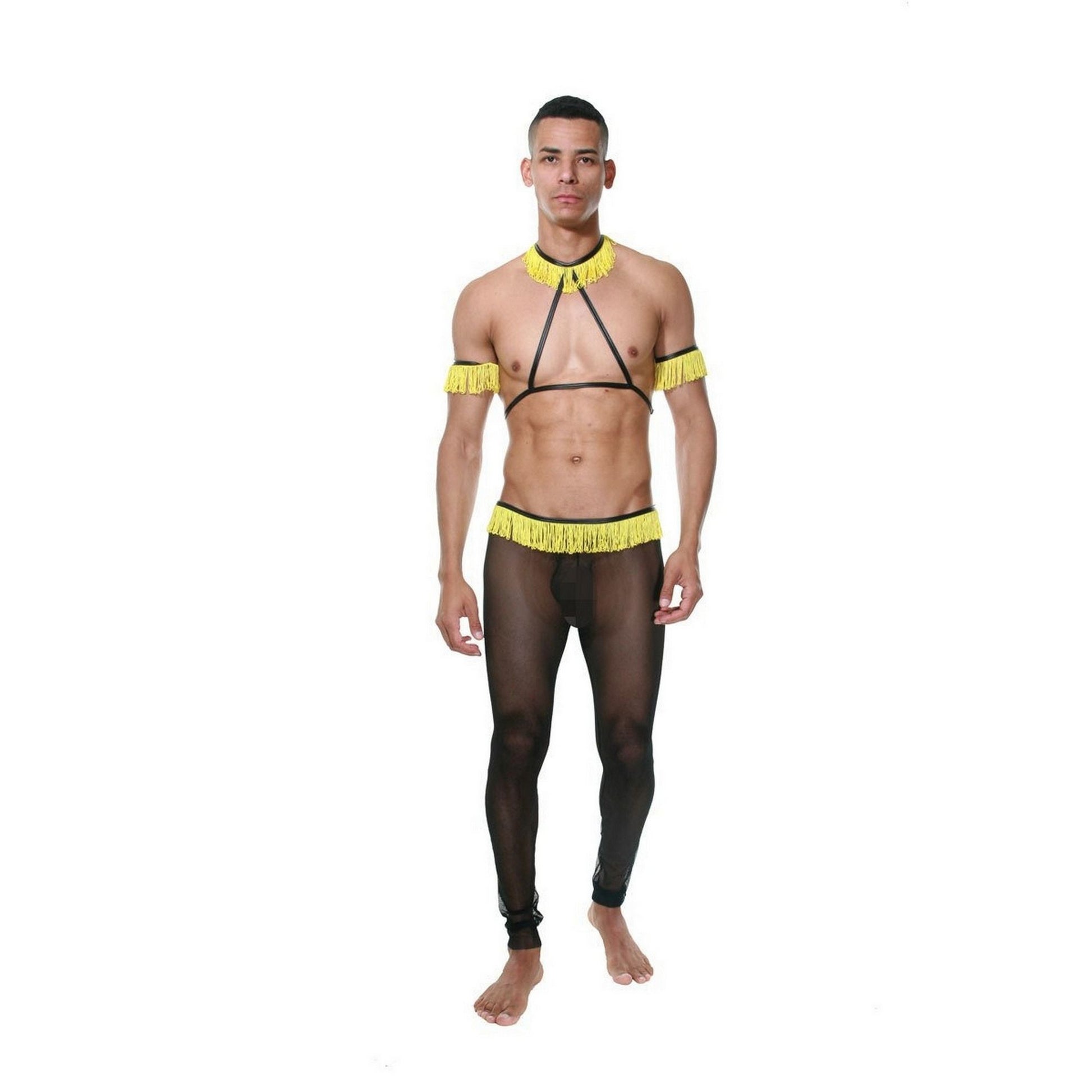 Male Stripper Costume - Sexy Dancer Wear 6 Pieces Set - See Thru Transparent Erotic Tulle Lingerie - Gay Costumes LGBT Pride Stage Nightclubs