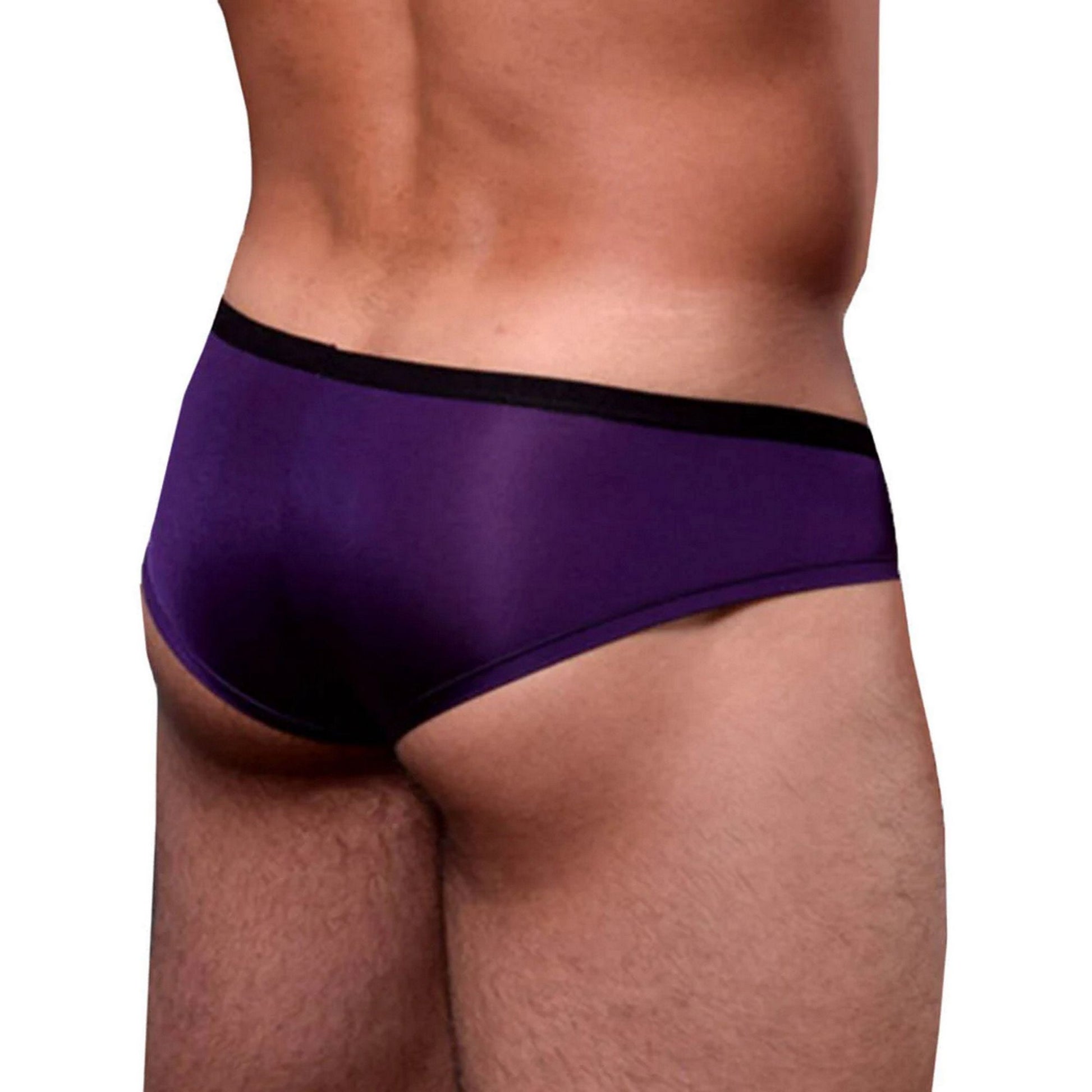 Men's Low Waist Brief Panties - Soft Sexy Boost Cheeky Slip - Low Rise Falling Below Waist - Thin Contrast Waistband - Silky Feeling