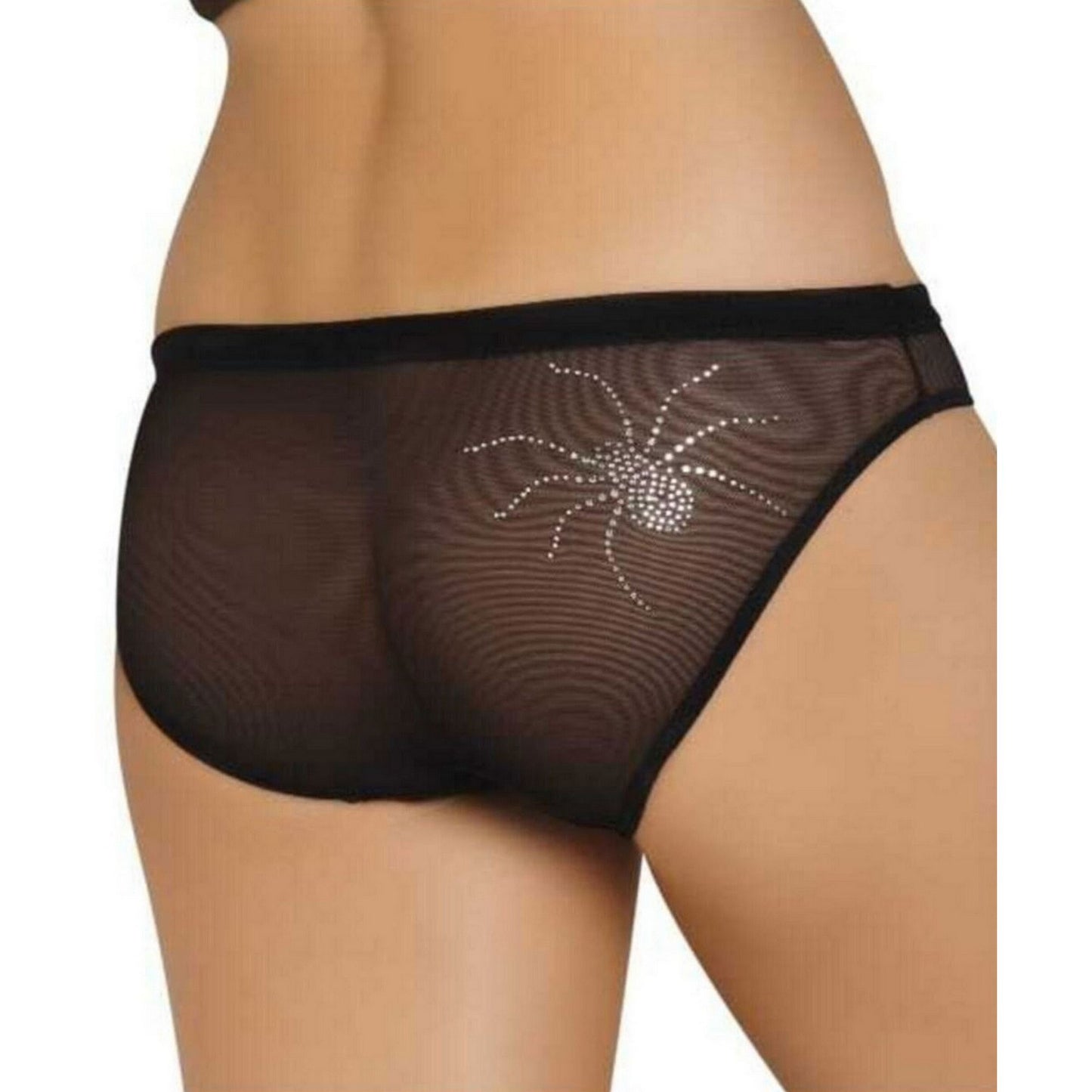 Transparent Panties, See Through Panties, Sexy Bikini for Women Underwear - Sheer Brief with Stone Spider Embroidery